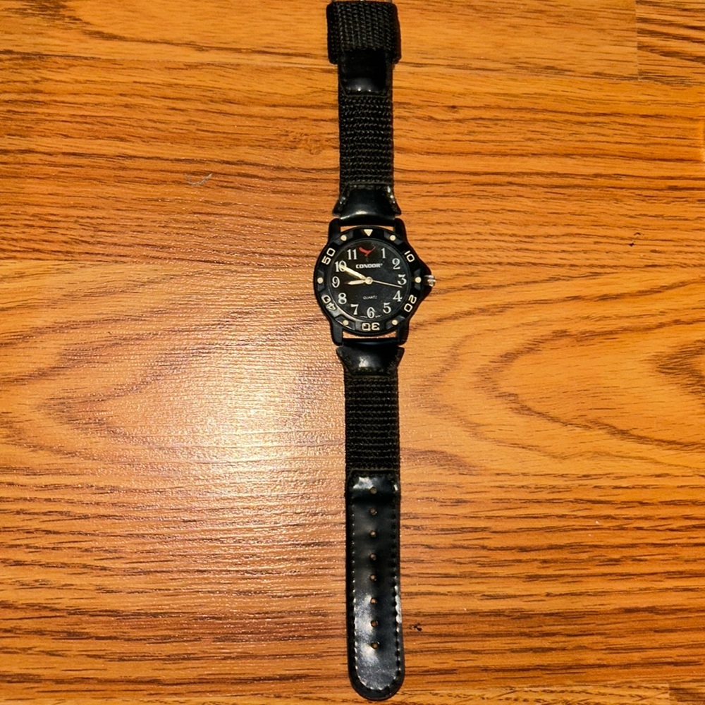 Condor Watch - image 1